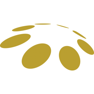 HardinPoorman logo icon